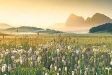 幸运水果机源码-幸运水果机源码，构建娱乐新体验的技术基石